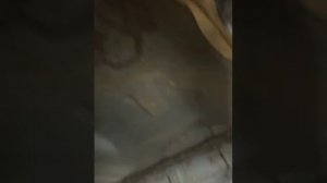 Ремонт задней подвески x-trail t31 2007 пробег 250000