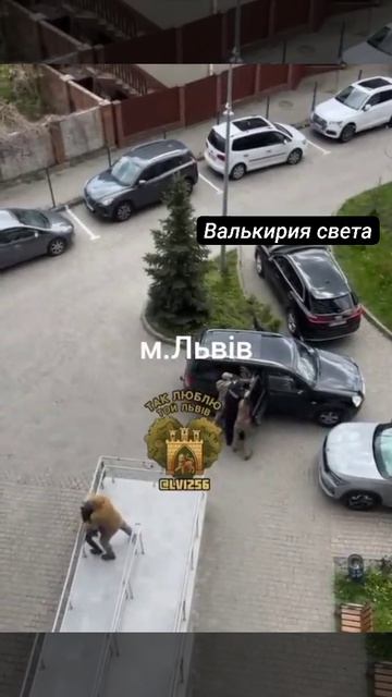 VID_20260424_225219_633.mp4