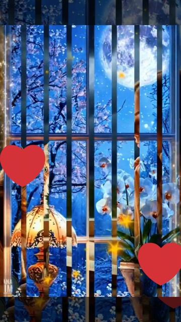 Добрый вечер