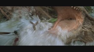 КРОКОДИЛ ДАНДИ 1-2