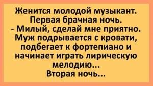 Молодой Музыкант в Первую Брачную Ночь... | Анекдоты смешные | Юмор