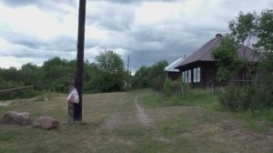 Звук природы. Птицы. Камышовка длинноклювая на селе поет