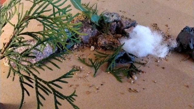 Яромир Про ( пластилиновый мультик о хомяке)