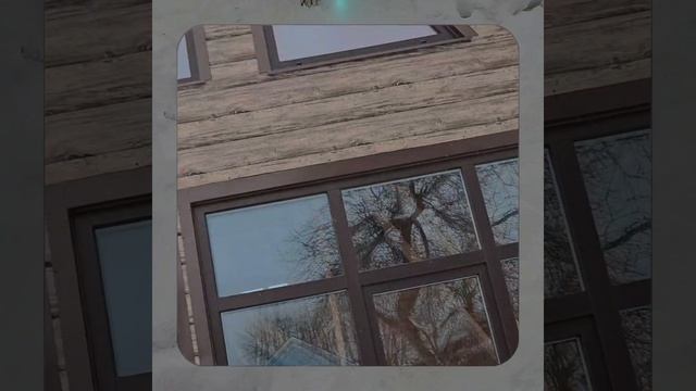 1000056989.mp4 (Собака наблюдает за устройством лестницы на 2-ой этаж в доме А-фрейм)