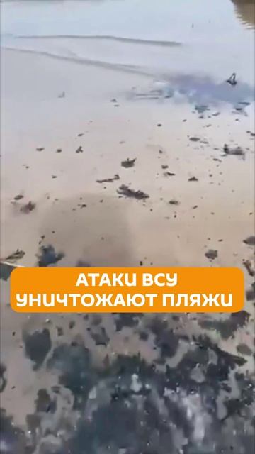 Грязь и мусор: что атаки ВСУ сделали с пляжами Эстонии?