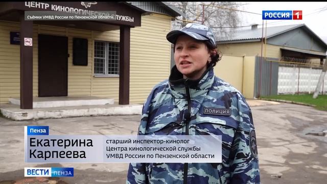 Студенты Многопрофильного колледжа ПГУ погрузились в профессию кинолога // Россия 1. Пенза