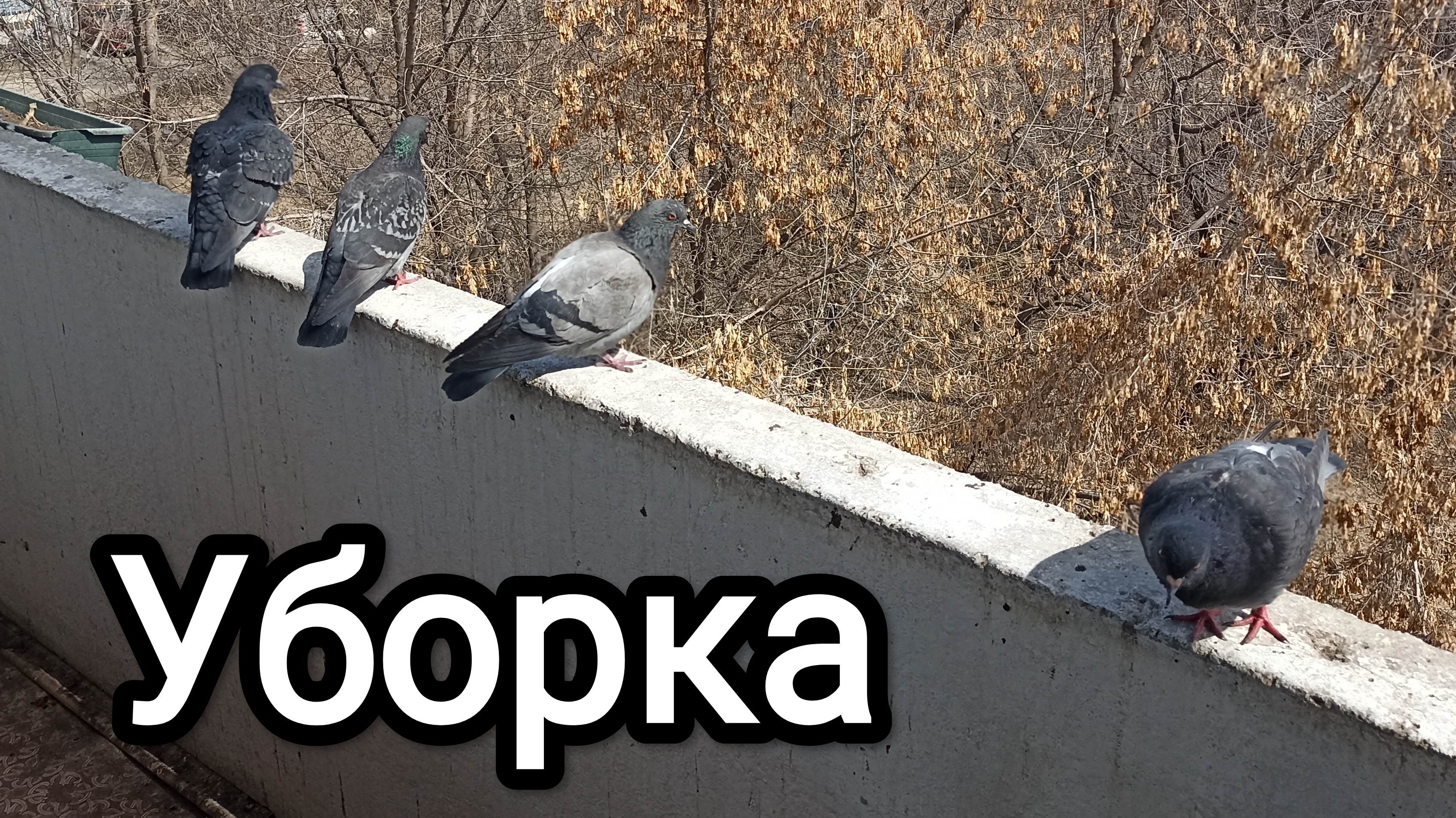 24-04-2026. Выходной. Уборка.