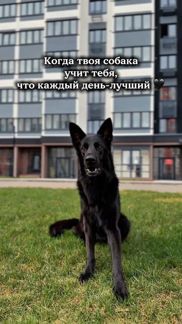 солнце светит хорошо