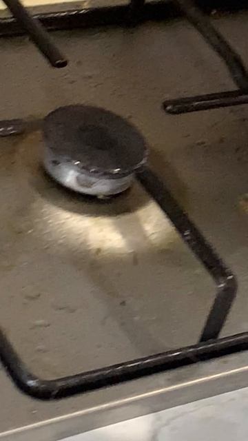 Година номер четыре