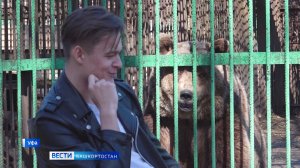 Спасся от медведя, но не от закона: за что чудом выживший сноубордист из Башкирии получил штраф