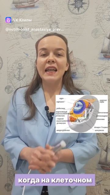 БРТ диагностика, метод определения проблем в  организме на уровне клетки