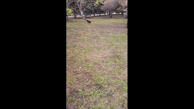 Всё сбудется однажды...