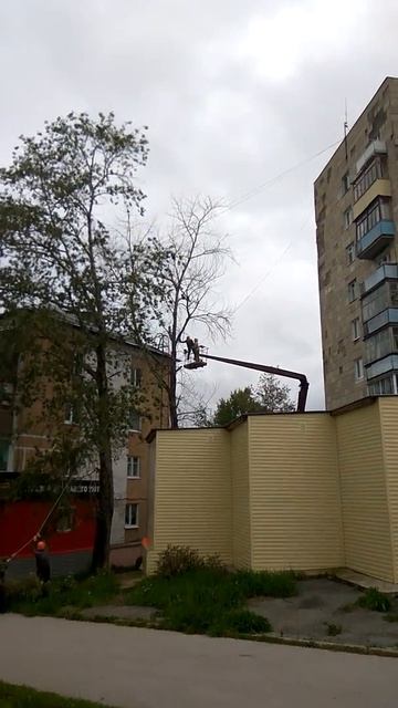 Как нельзя пилить деревья с автовышки.