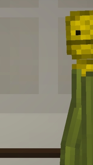 24-04-2026 как зовут мою семью