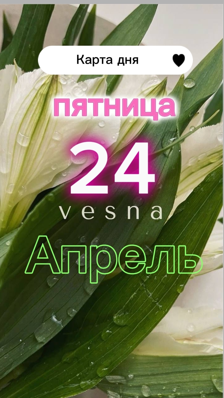 Паж пентаклейКарта дня на 24-04-2026. Пятница