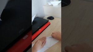 Как сделать самолёт - птицу