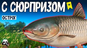 RF4 Рыбалочка получилась даже с сюрпризом #рр4