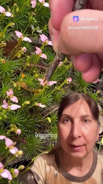 Интересное видео