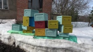 Краска для ульев ППУ