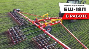 Борона штригельная БШ-18П