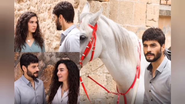 Иллюзия мести. Глава 11.