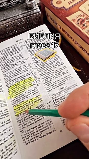 Каждый день возносим молитвы 🙏