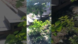 Благоустройство