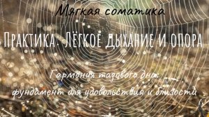 Мягкая соматика без сложных техник: тазовое дно ✨ для улучшения работы тазовой и грудной диафрагмы