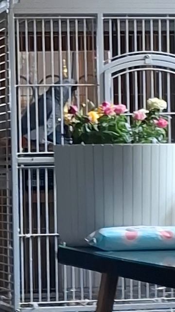 А  КОФЕ  БУДЕМ  ? 🤪