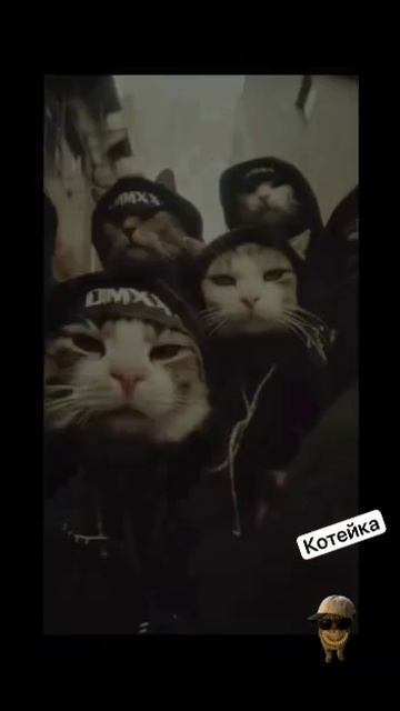 VID_20260424_154717_250.mp4