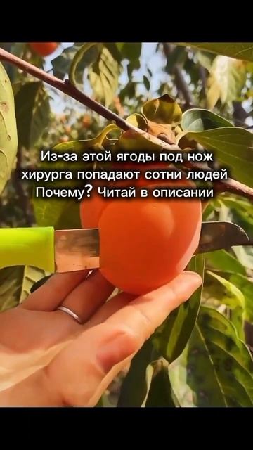 Опасная ягода ? #гнм #германскаяноваямедицина #психология #психосоматика
