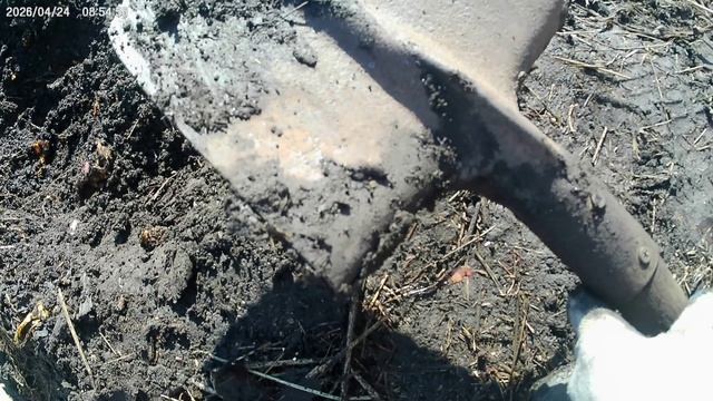 Вот и пришла весна.Готовлю грядку для рассады капусты.