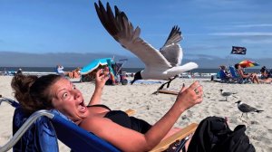 America′s Funniest Home Videos. Instant Regret Came For Them 💥 Funniest Fails Compilation