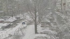 Сад-огород, дела весенние, 22 апреля.