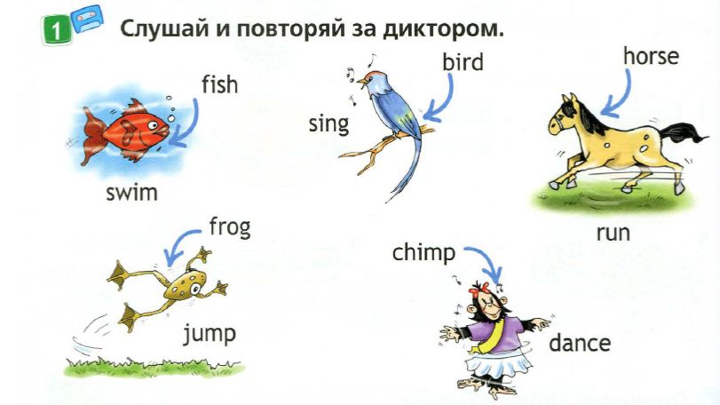 2 класс. Английский язык. (Англ. в фокусе). Время для шоу! Домашнее задание. Страница 118, 119