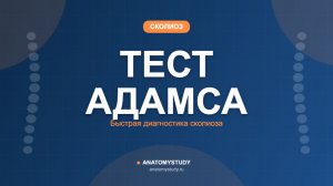 Тест Адамса: как быстро определить сколиоз — базовая диагностика