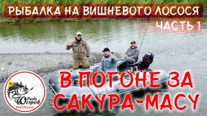 В погоне за САКУРА-МАСУ,  Часть 1