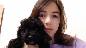 ASMR с собачкой
