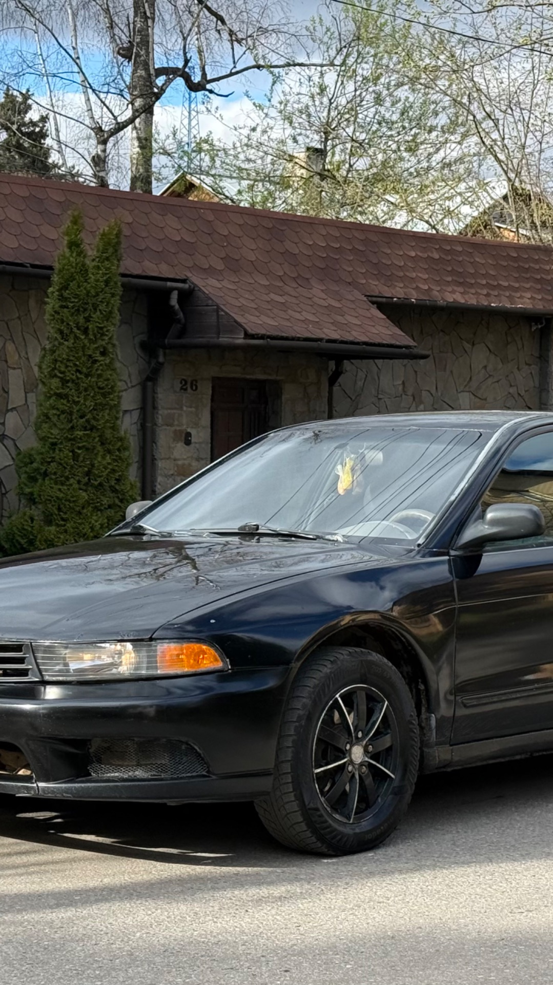 Японская Акула Галант.