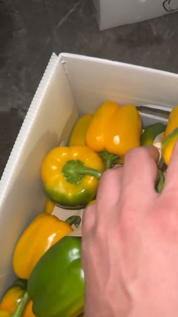 Перец желтый 2 сорт из Ирана