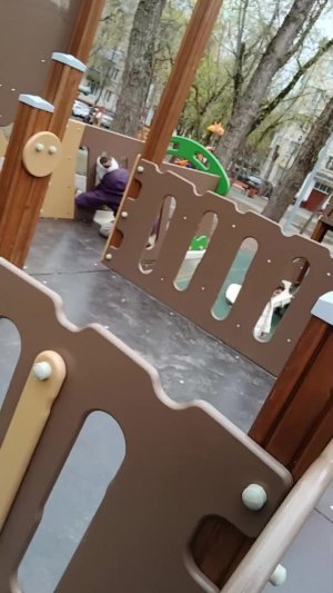 Гуляем с подругами