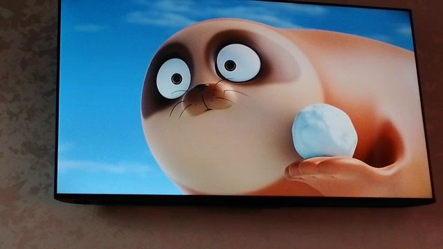 VID_20260422_084529.mp4