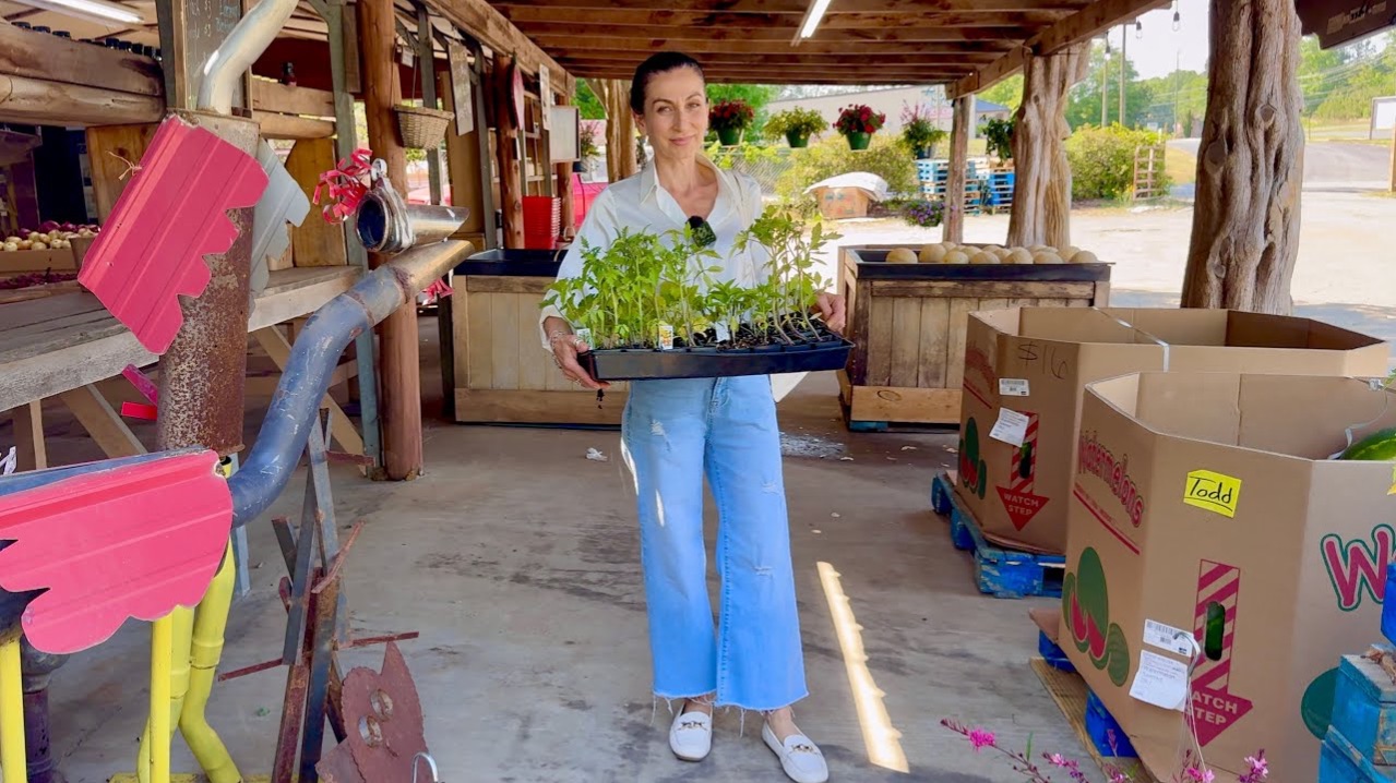 Быстрый Кофе у Друзей | Шопинг из Славянского Маркета | Новая Рассада 🌱 | Семейный Влог Эгине