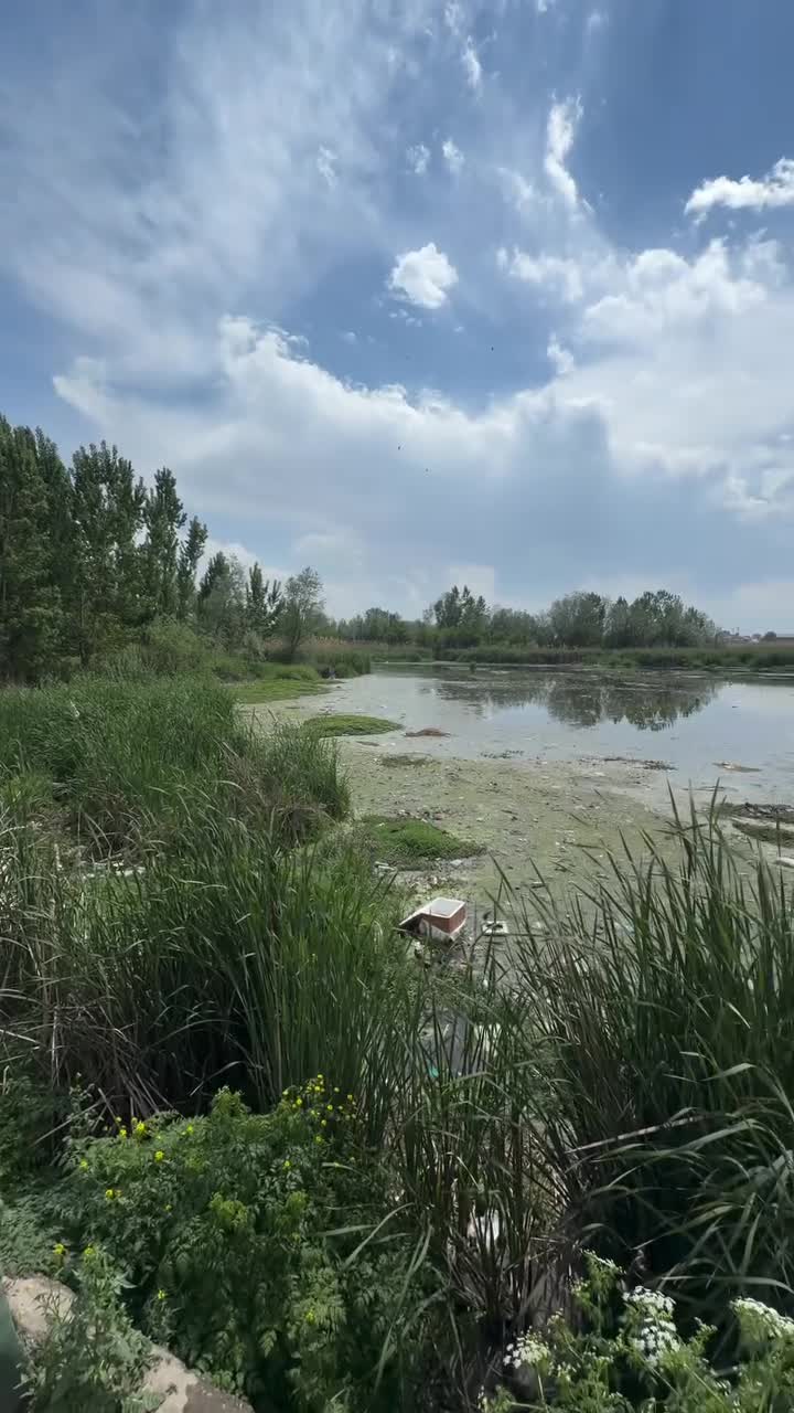 2026-04-24T20:00:37.493Z