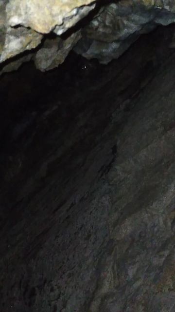 Захожу в пещеру в горе Алчак-Кая, а там два глаза горят в глубине, в темноте