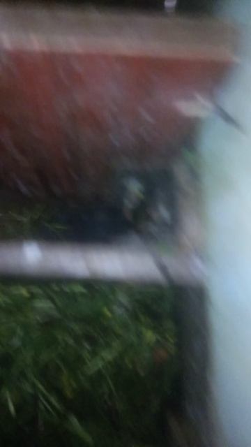 Кролиководство и подвоздушные камни