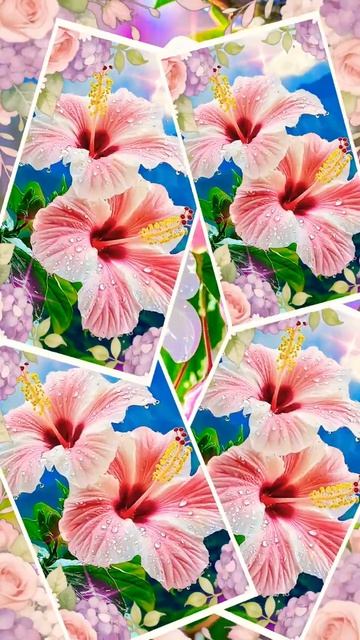 Прекрасного Дня!