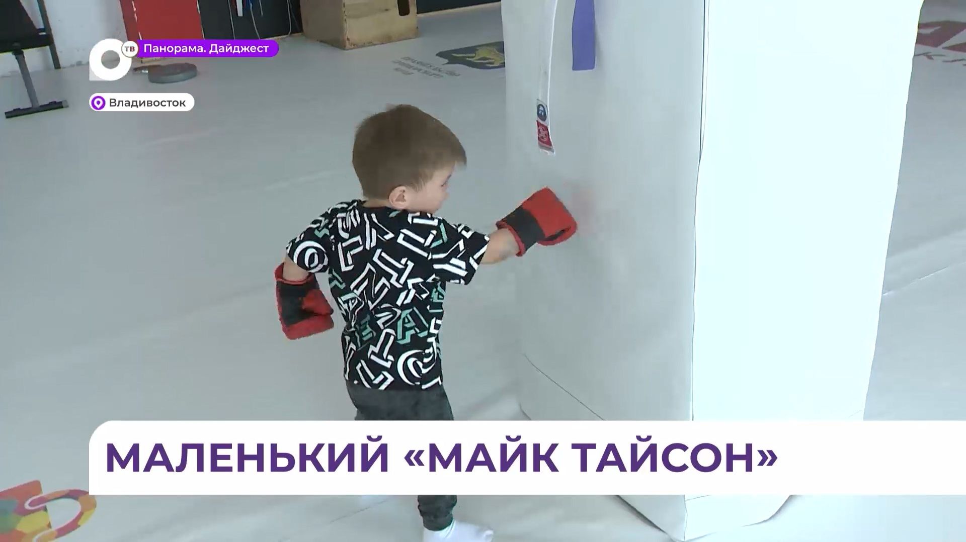 Маленький боксёр из Владивостока покорил сердца миллионов за пределами региона