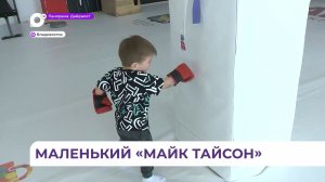 Маленький боксёр из Владивостока покорил сердца миллионов за пределами региона