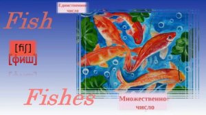 Алфавит урок 1